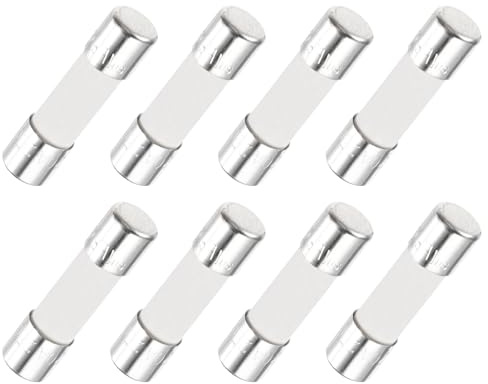 QUARKZMAN 8er Packung Keramik Sicherung 20A, Träge Feinsicherung 5x20mm Glassicherung 250V für Lichtern, Elektronik
