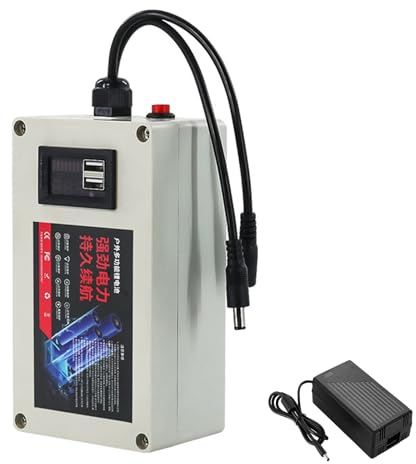 JCXYL EV Batería de Litio Recargable de 12 V, 12 V, 100 Ah, 10 Ah, 15 Ah, 20 Ah, 30 Ah, 40 Ah, 50 Ah, 60 Ah, 80 Ah, Paquete de baterías de Litio de Gran Capacidad,12v 15ah
