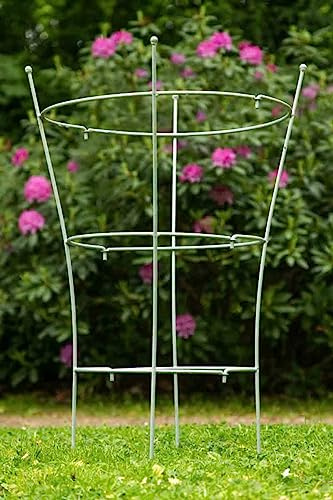 KUHEIGA Staudenhalter Feuerverzinkt Höhe: 85cm - 2 TLG. Strauchhalter Rankgerüst