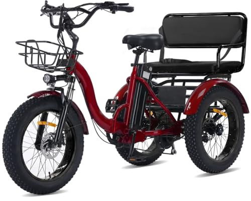 KAKIGO Elektrisches Dreirad mit Beifahrersitz, Zweisitziges E-Dreirad für Erwachsene, 48V 15,6Ah E-Trike für 2 Personen, Vorder- & Hinterkorb, Hinterachsdifferenzial