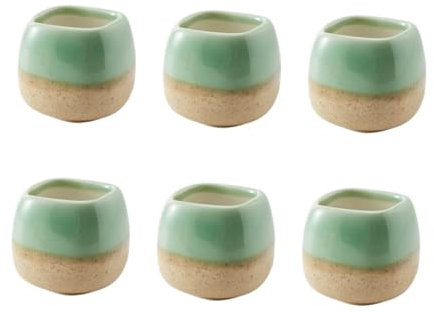 Happyyami Vasi per Piante Mini in Ceramica 6 Pezzi Verde Chiaro