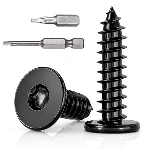 Dayalo Lot de 100 vis à bois Torx noires - M4 x 12 mm - En acier inoxydable A2 V2A - Vis à tête plate autotaraudeuses - Filetage complet avec grande tête - Avec embout TX 25 mm et 50 mm - Pour la