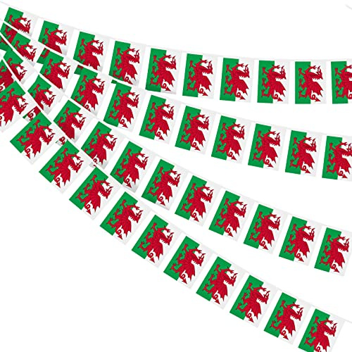 AhfuLife Welsh Flag Bunting 30pcs Flags for St David's Day, 10m Double Sided Wales Welsh Dragon Bunting for Six Nations Rugby Euro World Cup Football Party Decorations (14 x 21 cm - 10m, 1 Pack)