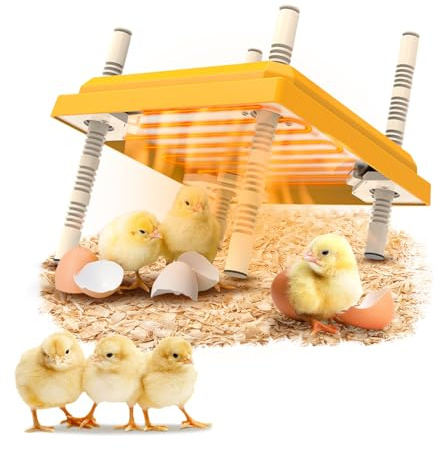 Lampe Chauffante Poussin, Plaque Chauffante Pour Poussins, Plaque Chauffante Poussin, Plaque Chauffante Pour Couveuse à Poussin, Hauteur Et Angle RéGlables, Pour 15-20 Poussins, Canetons