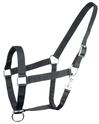 Brama West Halfter für Pferde Kaltblut | Halfter XFull XXFul XXXFull | sehr robust & reisfest | verstellbar | Stallhalfter | Schwarz, XXFull