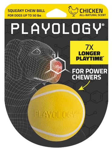 Playology Dog Toys | Squeaky Chew Ball - Bouncy Durable Floating Fetch Ball for Dogs | Medium Chicken Scented Toy - Easy to Clean and Made from Non Toxic Materials