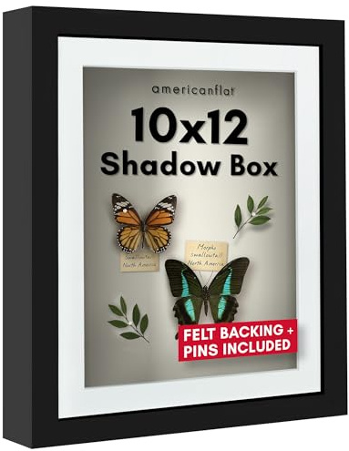 Americanflat 10x12 Shadow Box Frame with Shatter-Resistant Glass - Use as 8x10 Frame with Mat or 10x12 Without Mat - Silhouette Collection - Black with Soft Felt Back