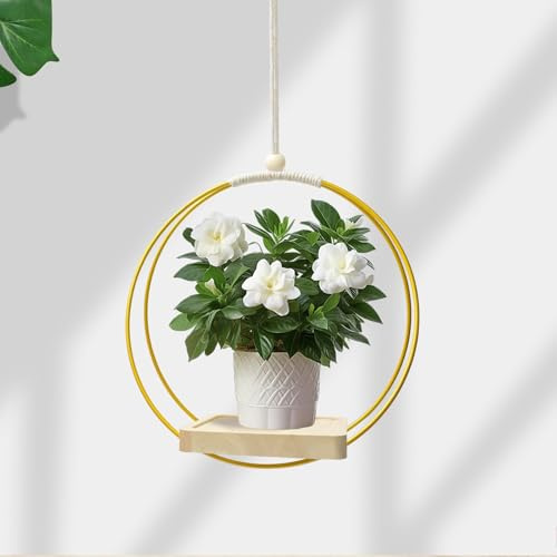 ChAusa Macetero Colgante Macetas para Colgar Decoracion Hogar Plantas Colgantes Soporte Plantas Hogares Oficinas y Espacios Creativos Dirigido a Amantes de Las Plantas y Decoradores(Dorado)