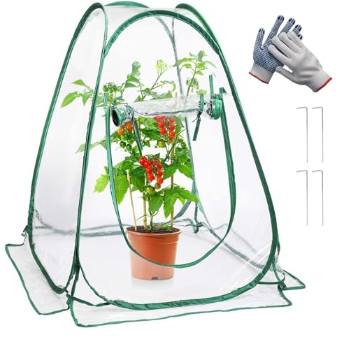 Pop-Up Folien Gewächshaus 70x70x80 cm,Überwinterungszelt für Pflanzen,Überwinterungszelt für Pflanzen wetterfest, Geeignet für Gemüse, Blumen und Pilze