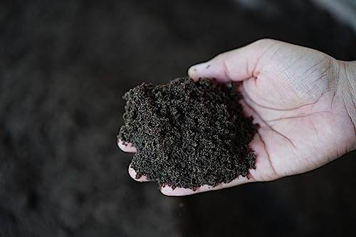 UK GROW Worm Castings - Organic Plant Fertilizer for Thriving Gardens (25Ltr, Sturdy Bucket)