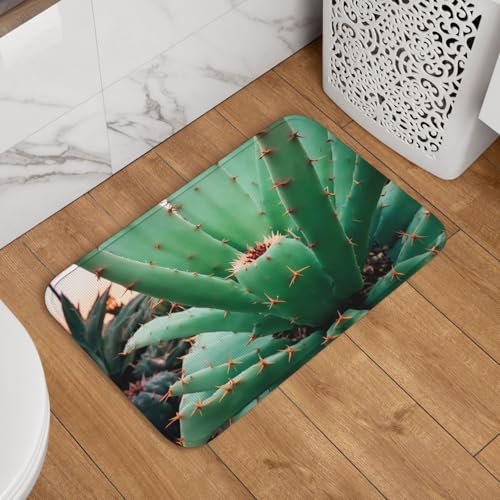 PHAYAH Agave Cactus Crystal Velvet Edge Mat 40x60cm Entrance Door Door Mat for Bathroom Bathroom Rooms Etc.