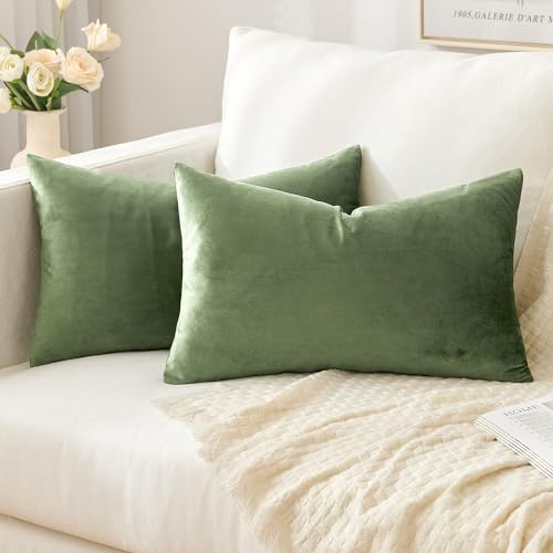 Slozzi 2er Set Samt Kissenbezüge Haushalt Dekokissen Dekorative Kissenhülle Weich Sofakissen für Sofa Schlafzimmer Wohnzimmer 30x50 cm Grün | Haushalt Dekorative Kissenhülle Weich für Sofa Schlafzimmer Wohnzimmer