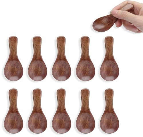 10 pièces petite cuillère à sel en bois, Mini cuillères à dégustation miel café thé cuillères à sucre Condiments cuillèress à sel pour la cuisine cuisine