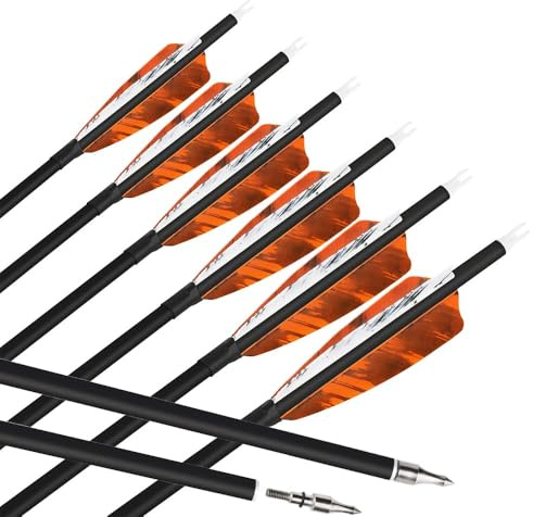 HNZMDY 6 Stück Bogenschießen Carbon Pfeile 28/30/31 Zoll Jagdpfeile Spine 500 mit Naturfeder Bogen Pfeile für Recurvebogen Compoundbogen