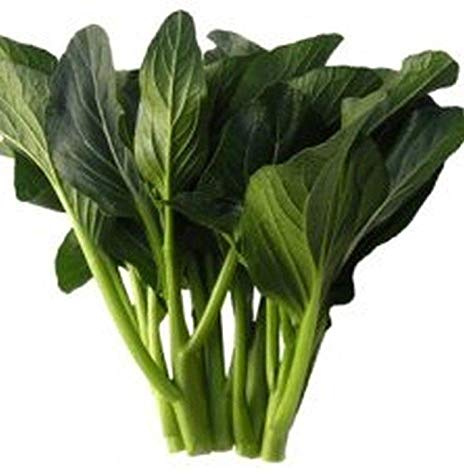 Jung Green Yu Choy Seeds - Produces Dark Green Leaves and is Tolerant to Heat.(100 - Seeds)