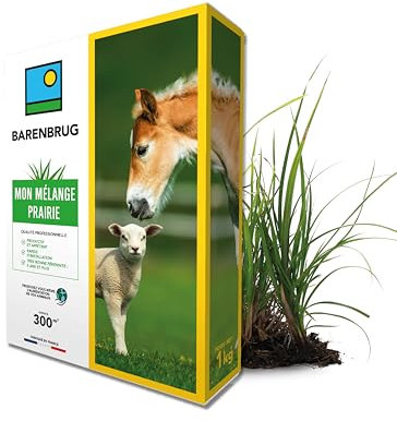 BARENBRUG - Mélange Prairie - Productif et Appétent - Rapide d’Installation - Très Bonne Pérennité - Production Alimentation pour Animaux - Fabriqué en France - 1KG