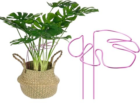 M METERXITY 1 pcs Soportes para Plantas Monstera, 11x5.9 Pulgadas Reutilizables y Resistentes Soportes para Plantas de Aleación Diseño Único para Plantas en Macetas Flores/Verduras [Rosa]