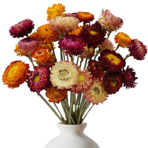 LIUYIDM Ramo Flores Secas Naturales 20 Piezas Centro de Mesa Flores Secas Decoracion Flower Elementos Botánicos Naturales Dried Flowers 32 CM Crisantemos para Decoración Hogar Bodas Mesas