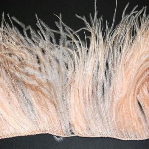Ostrich Feather Trim Fringe Natural Ostrich Feather Ribbon Trimming for Party Dress Sewing Wedding Accessories 1 M-Champagne-10-15 cm 4-6 inches