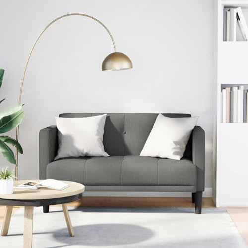 HETFTJN Zweisitzer-Sofa Dunkelgrau 124x67x74,5 cm Stoffbezug mit Federkern Sperrholzgestell Modernes Design Robust & Bequem für kleines Wohnzimmer Büro Balkon