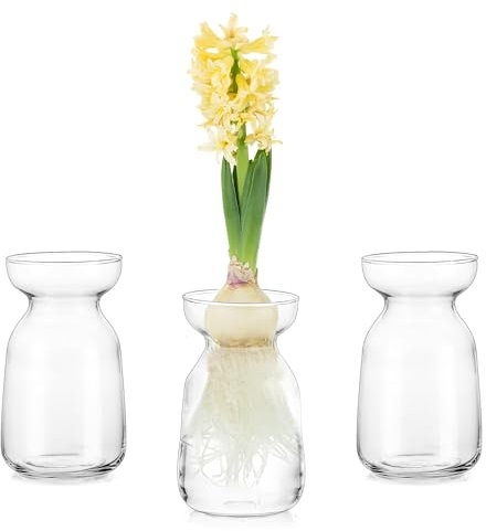 Glasseam Kleine Vasen für Tischdeko, Modern Flower Vase Glas Tulpenvase Design, Durchsichtig 3 Vasen Set für Hyazinthe Pflanzen Anzucht, Dekorative Blumen Vasen Deko für Hochzeit Wohnzimmer