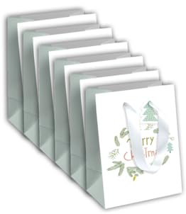 Clairefontaine X-29538-3Cpack 6 Geschenktasche Excellia 21,5x10x25cm Schnee