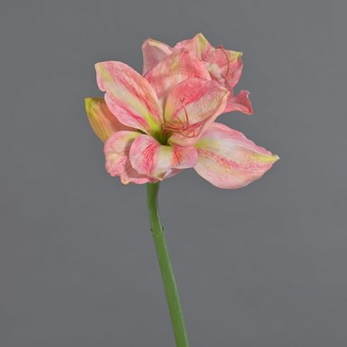 artplants.de Kunst Amaryllis NARWELA, rosa-Creme, 70cm, Ø10-13cm | Deko Amaryllis
