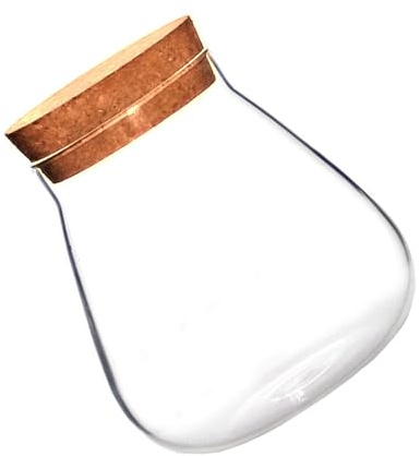 Angoily Bocal en Verre Transparent Bouchon en Liège Récipient pour Plantes Aériennes Petit Vase Décoratif pour Terrarium Boules de Mousse Rangement Créatif pour Bureau et Maison