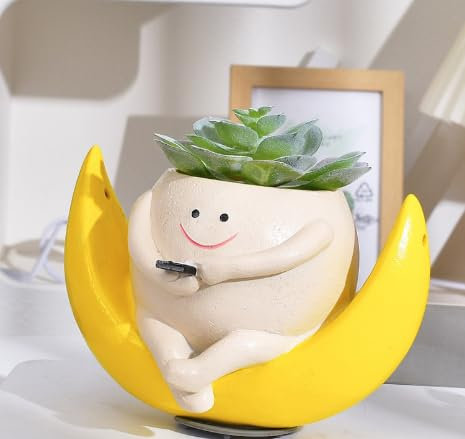 Dasuyl Hängende Pflanzgefäße mit Schaukel und Smiley-Gesicht, niedliche Pflanzgefäße aus Harz, hängend, für Innen- und Außenbereich, sukkulente Dekoration für Garten (Sichel-Pflanzgefäß)
