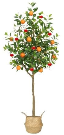 CYairong-22 Plantes en Pot Plantes artificielles, orangers, décorations d'intérieur et d'extérieur, Plantes en Pot, Plantes Vertes, Ornements d'intérieur en Pot Bonsaï