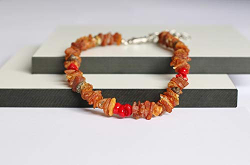 Bernsteinkette für Hunde aus Roh Baltischer Bernstein mit Rote Koralle verziert Halsband (55-60 cm)