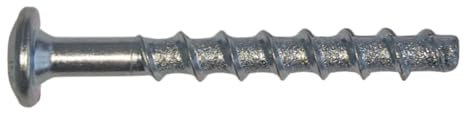 25x Remstaler BETONSCHRAUBE Linsenkopf mit Torx-Antrieb | Stahl verzinkt | Ø5 - Ø6 | ETA Zulassung | made in GERMANY | Betonschrauben (6x100)