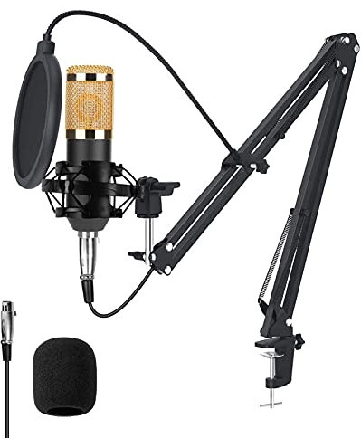 Mikrofon PC BM-800 Microphone Set mit Arm Kondensatormikrofon USB Mikrofonaufnahme Podcast PC Microphone mit Arm Kondensator Mikrofon Kit Verstellbarem Mikrofonhalter für Desktop- und Laptop-Computer