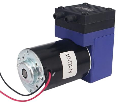 PLCPDM Quiet Operations - Bombas de vacío en miniatura de bajo ruido, 12 V, presión portátil para pesca, camping, entusiastas del aire libre