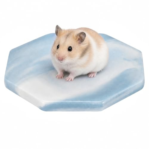 HANABASS Hamster Cooling Pad, Ceramic Mat, 10 cm | Cooling Surface, Easy to Clean, For Hamsters, Guinea Pigs, Chinchillas, Summer Cage Rest and Small Pet Beds