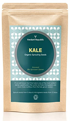 Verdant Republic Organic Black Kale (Cavolo Nero) Sprouting & Microgreens Seeds | 125g | Non GMO High in Nutrients Superfood | Easy to Sprout in 5 Days or microgreens from 10 Days