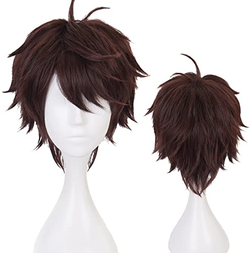 Dunkelbraune kurze Anime Perücke mit hitzebeständigen synthetischen Kostüm Haare für Frauen Männer Halloween Cos Rolle Spielen Ersatz Perücken
