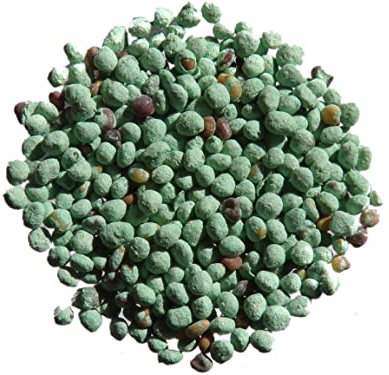 Trèfle Micro Nain Pipolina (enrobé : Vintage Blue Color) – Trifolium Repens (Engrais Vert) SEM14