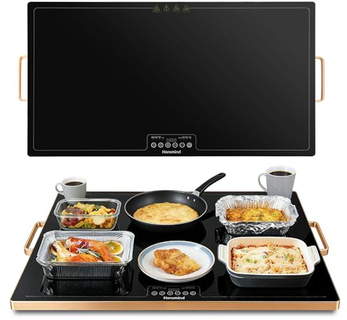 Heromind Piastra riscaldante 80 x 45 cm, 450 W, piastra termica professionale, touchscreen, telaio in acciaio inox, con manico, per ristoranti e casa