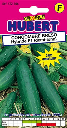 20 Graines de Concombre Breso Hybride F1 (demi-long)