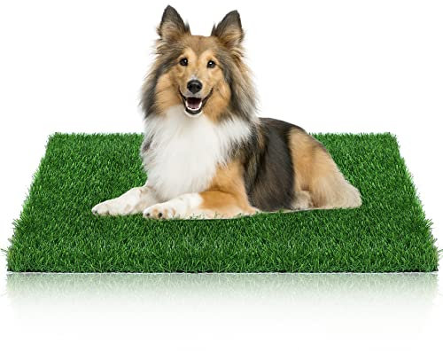 GLOBREEN Washable Fake Grass Pee Pad for Dogs Artificial Grass Puppy Turf Potty Training Mat Outdoor Indoor Use, Pet Friendly High Drainage, 39.3 x 31.5