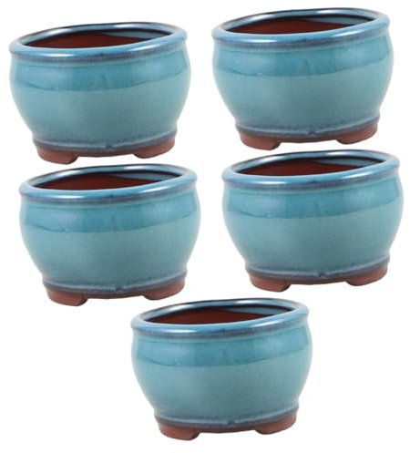 Sosoport 5 Pezzi Di Vasi Decorativi Per Piante Piccoli Vasi Da Scrivania Decorazioni Per La Casa E Lufficio
