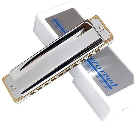 Erwachsene Mundharmonika Diatonische Mundharmonika 10 Löcher Major Blues Harp Professionelle Armonica(C)