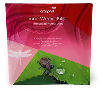 Dragonfli Vine Weevil Killer Nematodes - 500 Square Metre Pack
