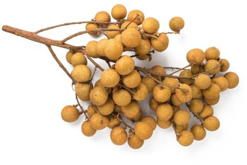 35samen Dimocarpus - spalierobst obstbäume bio büropflanzen säulenobst winterhart balkon zwergobstbäume exotische steingartenpflanzen winterhart,
