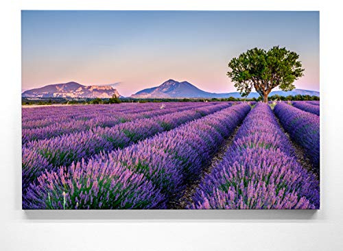 BilderKing Traumhaftes Leinwandbild - Provence - als 90x60cm großes Wandbild. Perfekt als Hintergrund und Deko für Wohnzimmer & Schlafzimmer. Aufgespannt auf Holzrahmen