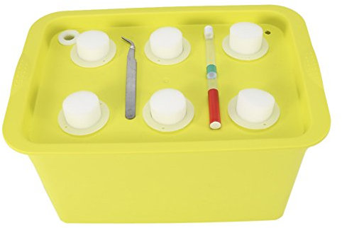 Zerodis Caja del gabinete del hidropónico de la Planta, 6 Hoyos Kit de la Cosecha del envase del Sitio de la Planta Jardinera del jardín de Bubble Macetas del Cuarto de niños para Interior(Verde)