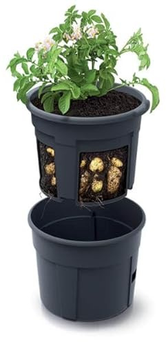 Gardening Naturally Potato Grow Pots Pack of 3 Grow Potatoes on Your Patio Ready to Pick in 8-10 Weeks