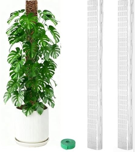 Lot de 2 poteaux en mousse en plastique de 61 cm avec design en forme de D pour plantes grimpantes telles que Pothos N Joy et Monstera Thai Constellation
