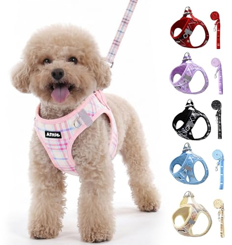 AIITLE Set Hundegeschirr+Leine reflektierend verstellbar, Rosa XS | weiche Weste, Karomuster, atmungsaktiv, gepolstert, kein Ziehen, für alle Hunde, Spazieren, Laufen, Camping
